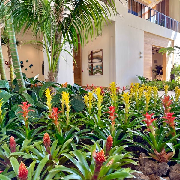 รูปภาพถ่ายที่ Mauna Lani, Auberge Resorts Collection โดย Norton R. เมื่อ 9/16/2021