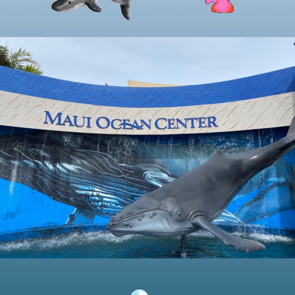 Photo taken at Maui Ocean Center, The Hawaiian Aquarium by Michelle J. on 1/14/2020