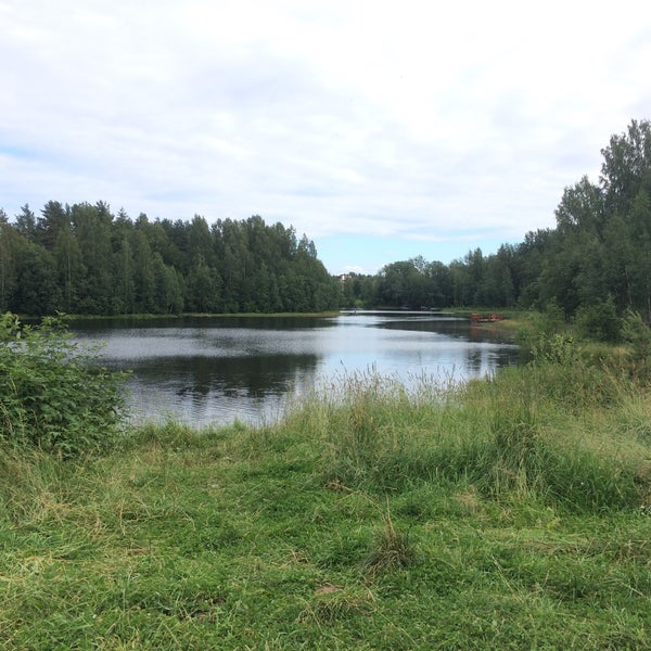 река грузинка васкелово. разлив реки грузинки. разлив реки грузинки фото. плотина на реке грузинка. река грузинка 7.