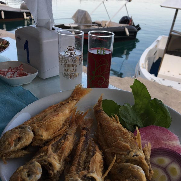 tekneden balik ziya dayinin yeri antalya kemer yolu balikci barinagi ici