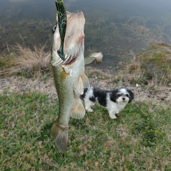 Coral Springs, FL 13 tips