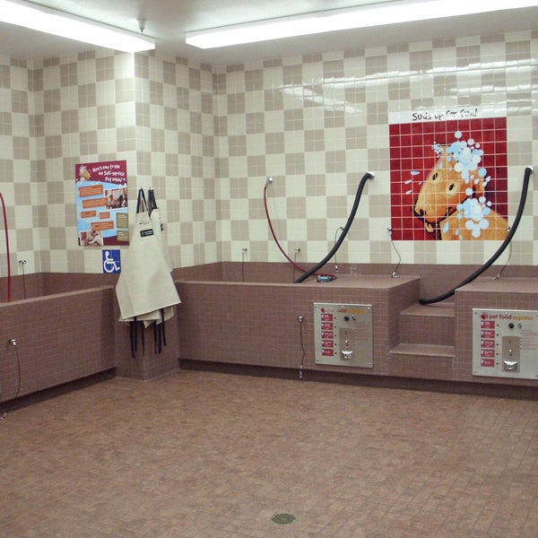 Pet express shop dog wash