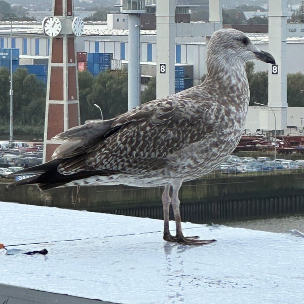 Photo taken at HafenCity by Nikola on 10/12/2023