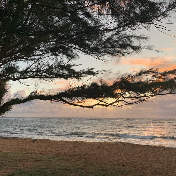 Снимок сделан в Sheraton Kauai Coconut Beach Resort пользователем AJ D. 11/22/2019