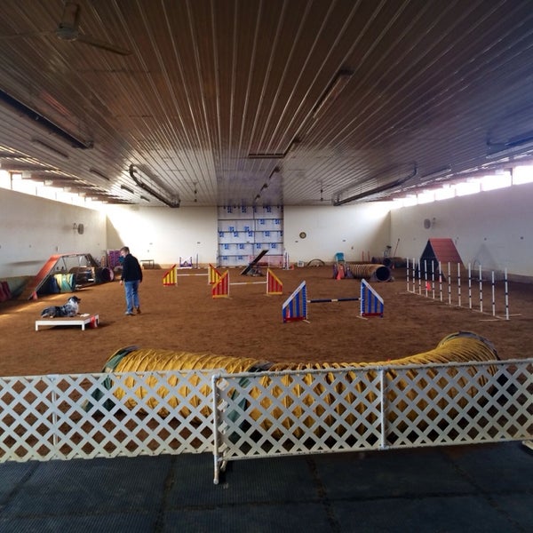 Paws In Motion - Kansasville, WI