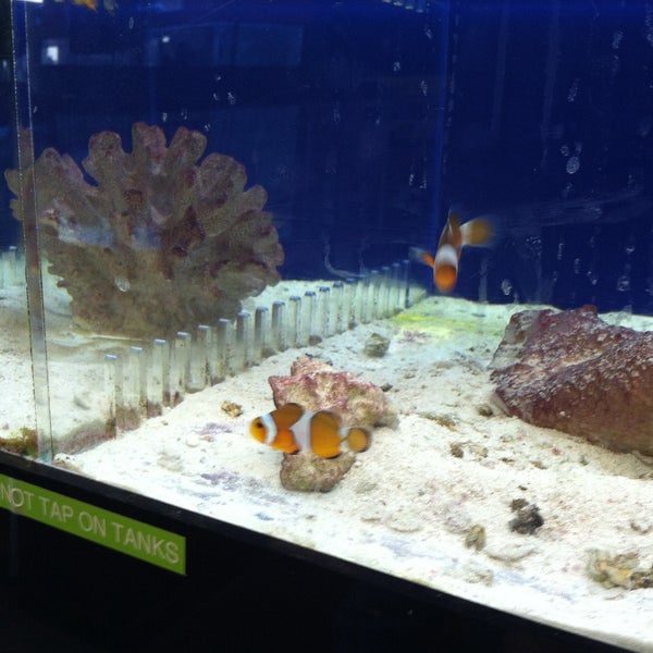 The Fish Bowl & More 318 East Solomon Street