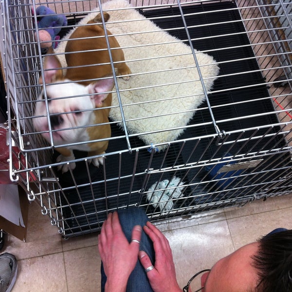 Uncle Bill's Pet Centers Greenwood Pet Supplies Store