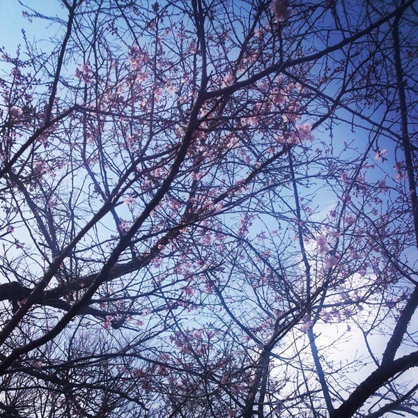 Photos At 秦野市中央運動公園野球場 秦野市 0 Tips