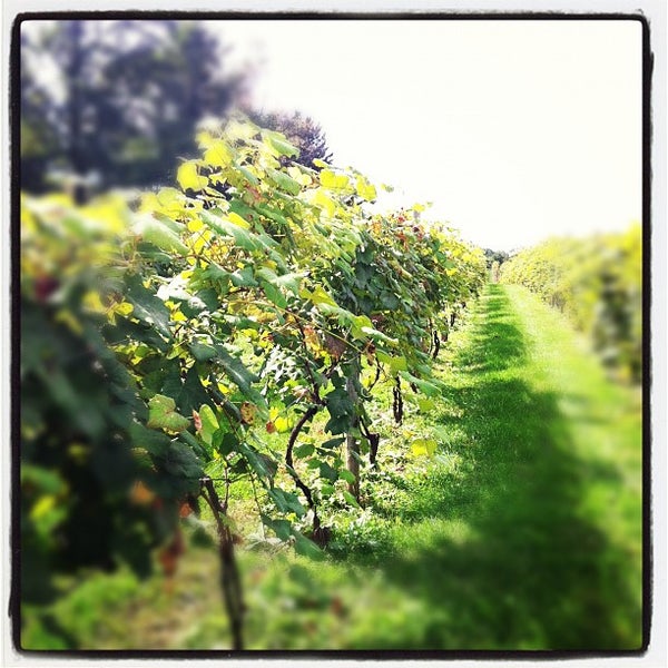Снимок сделан в Crossing Vineyards and Winery пользователем Leigh Ann S. 9/30/2012