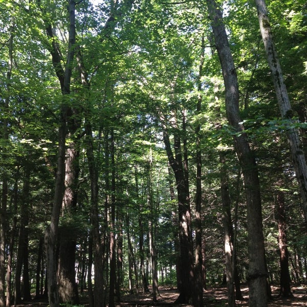 Photos At Baxter Woods Park Deering Center 2 Tips