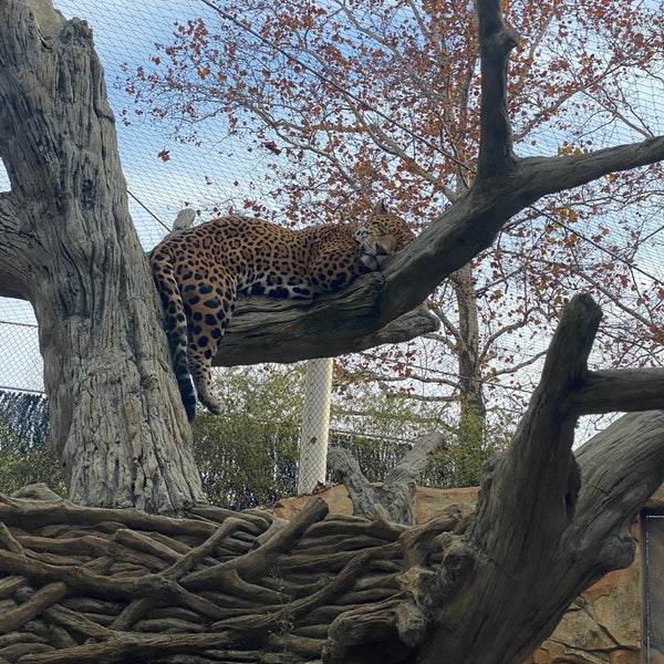 Foto tomada en Elmwood Park Zoo  por Julietta P. el 11/11/2021