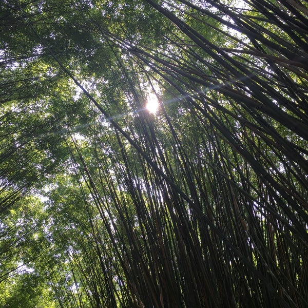 Foto tomada en Parque Ibirapuera  por Claudia C. el 4/3/2016