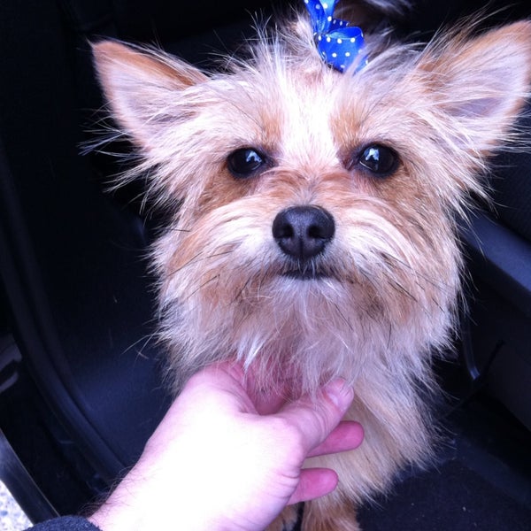 Bubble & Bark Ferndale, MI