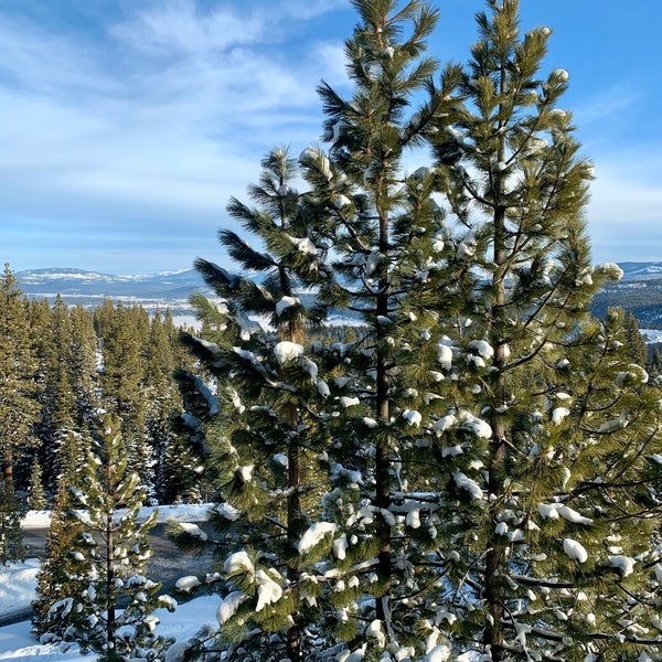 1/18/2020 tarihinde Tim P.ziyaretçi tarafından The Ritz-Carlton, Lake Tahoe'de çekilen fotoğraf