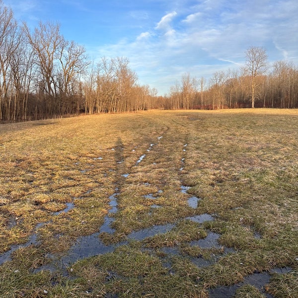 Stiglmeier Park (Losson Park) Bellevue 14 tips