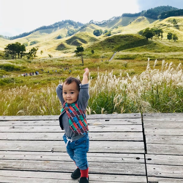 とのみね自然交流館 1つのtip