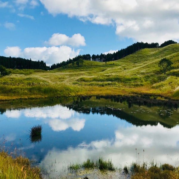 とのみね自然交流館 1つのtip