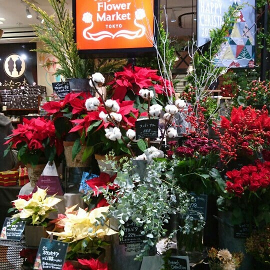 Fotos Em 青山フラワーマーケット Floricultura Em 巣鴨 Fotos Em 青山フラワーマーケット Floricultura Em 巣鴨