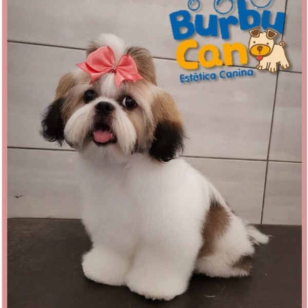Burbucan Estetica Canina Coiffeur Barbier
