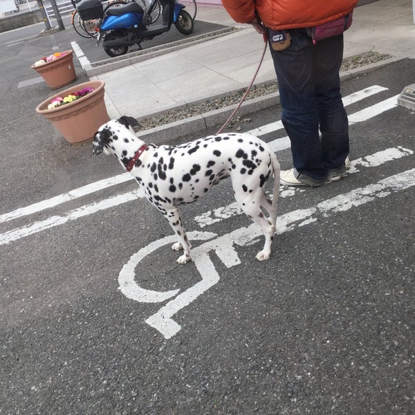 しまむら 鶴瀬店 上沢1 1 しまむら 鶴瀬店 上沢1 1