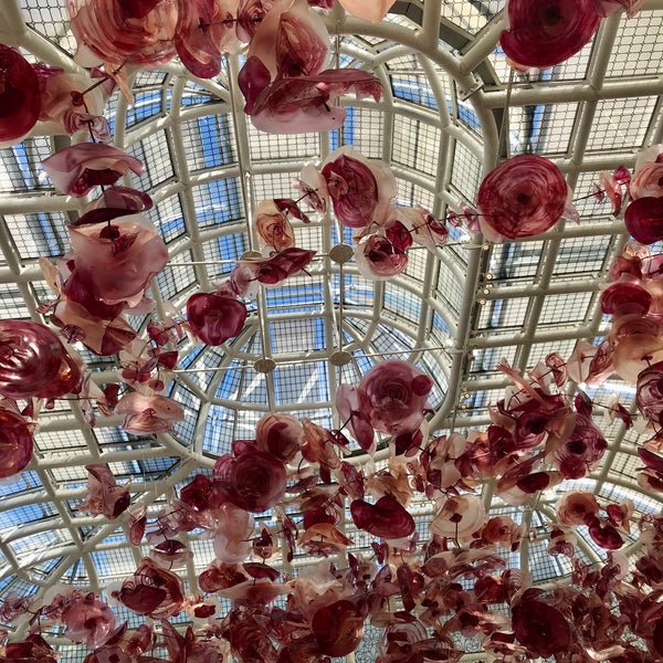 Cafe Di Dolce Pinar 6 Tips From 528 Visitors