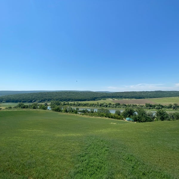 Poiana Winery