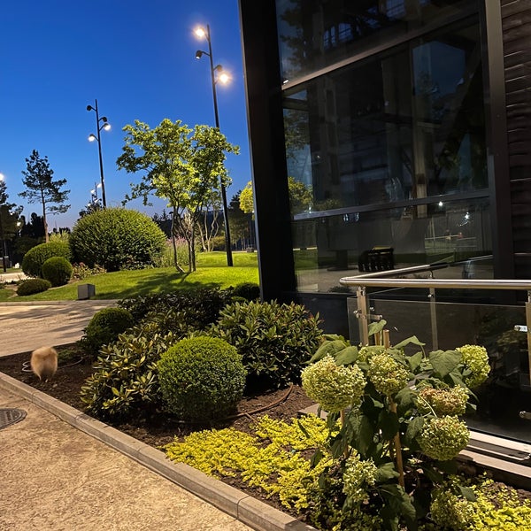 Рейтинг отелей и гостиниц мира - TopHotels.
