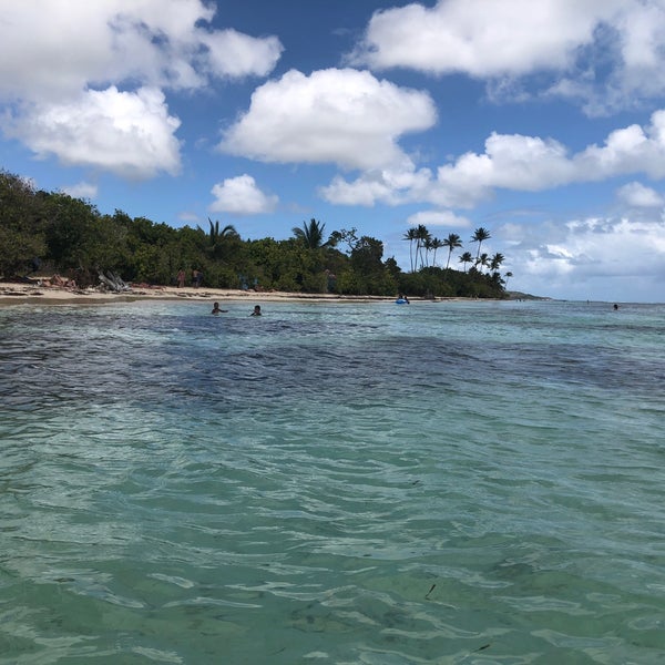 Photos At Plage De Bois Jolan Sainte Anne Guadeloupe