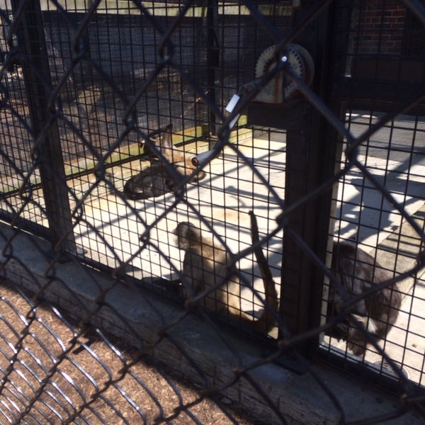 5/3/2014에 Courtney W.님이 Columbian Park Zoo에서 찍은 사진