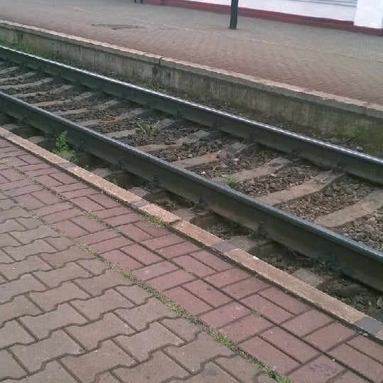 пуховичи техникум