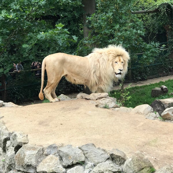 Foto diambil di Hertfordshire Zoo oleh Ross M. pada 7/28/2017