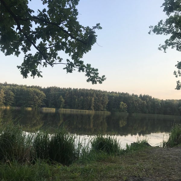 Уок лесное озеро. Лесное озеро курганинск. Озеро верхнерусское база. Лесное озеро курганинск. База отдыха лесное озеро верхнерусское.