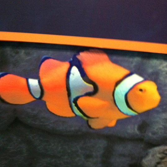 11/30/2012에 Ryan B.님이 Sea Life Aquarium에서 찍은 사진