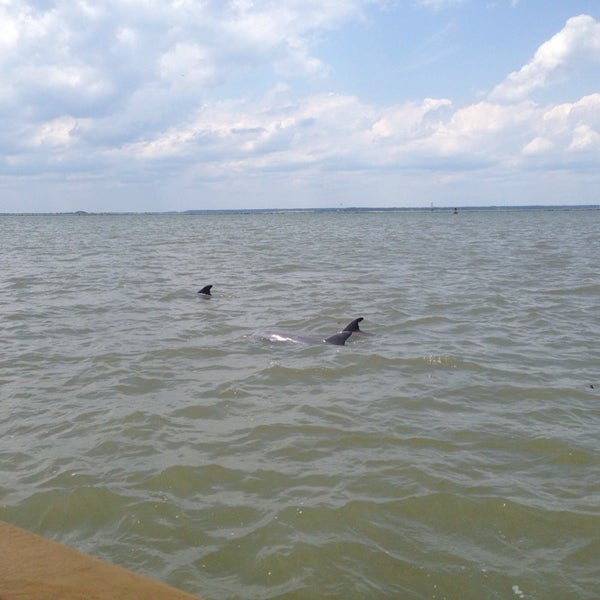 Foto diambil di Capt. Mike&#39;s Dolphin Adventure Tours oleh Clyde A. pada 5/18/2014