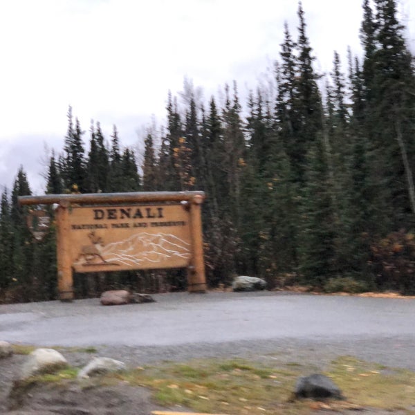 Hap Denali National Park Summer