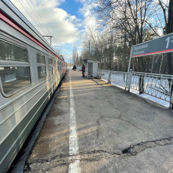 Тарховка Сестрорецк