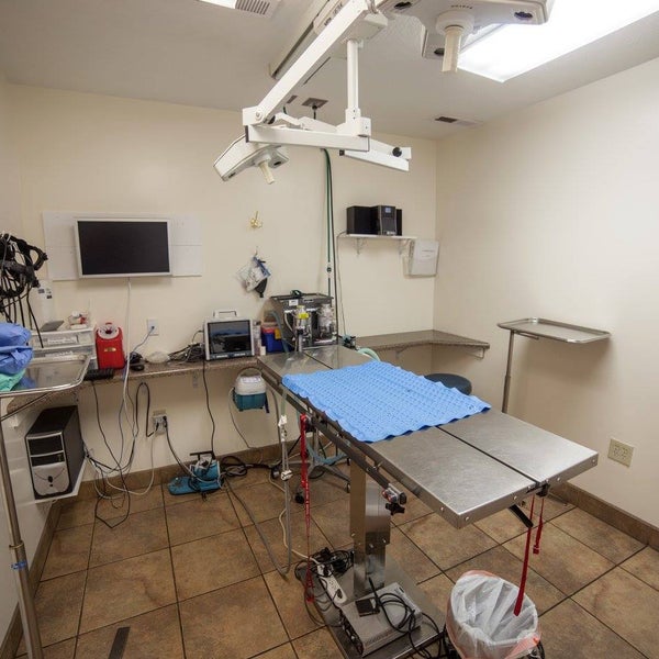 Cottonwood Animal Hospital Salt Lake City, UT