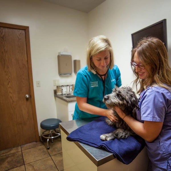 Cottonwood Animal Hospital Salt Lake City, UT