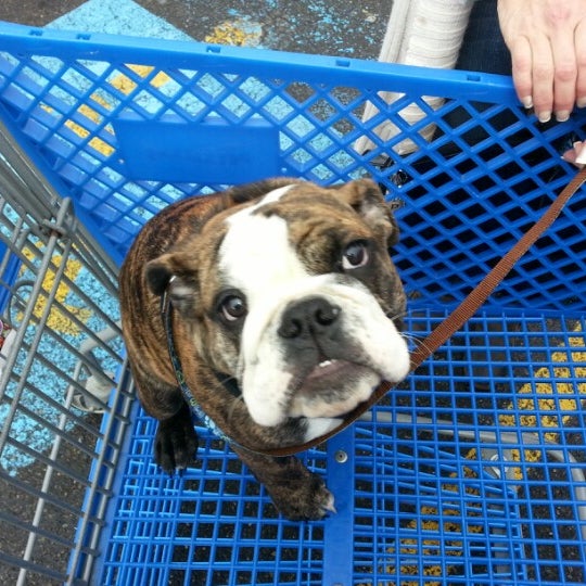 PetSmart Puyallup, WA