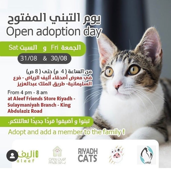 Animalplanet com adopt 2019 2025