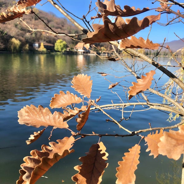Photo taken at Lopota Lake by Elena P. on 11/22/2021