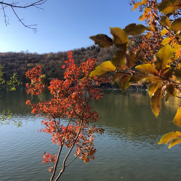 Photo taken at Lopota Lake by Elena P. on 11/22/2021