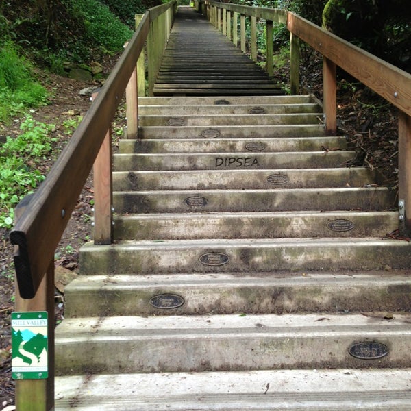 Dipsea Trail Trail