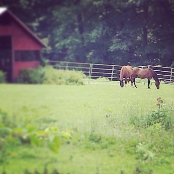 Whitlock S Book Barn 20 Sperry Rd