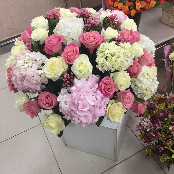 Цветы 24 часы Цветы 24 часы