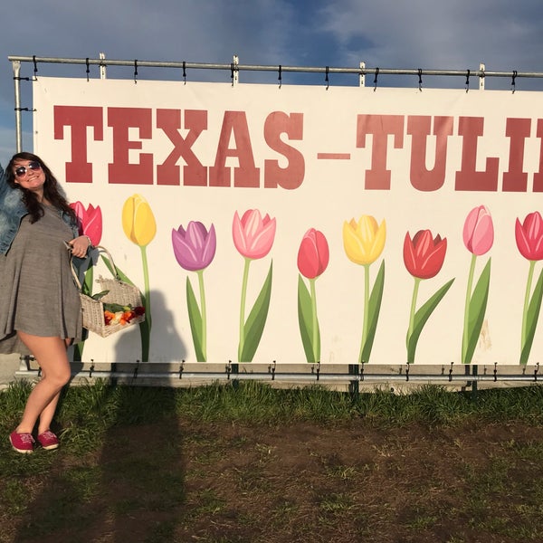 3/22/2019에 allison님이 Texas-Tulips, LLC에서 찍은 사진