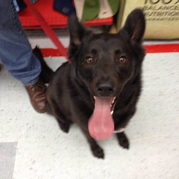 petco on halsted
