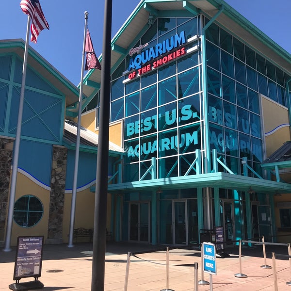 รูปภาพถ่ายที่ Ripley&#39;s Aquarium of the Smokies โดย Aaron C. เมื่อ 8/30/2019