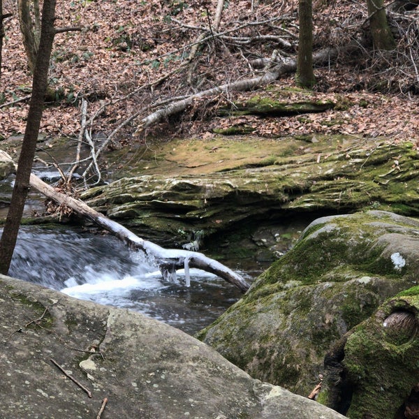 Frozen Head State Park State / Provincial Park