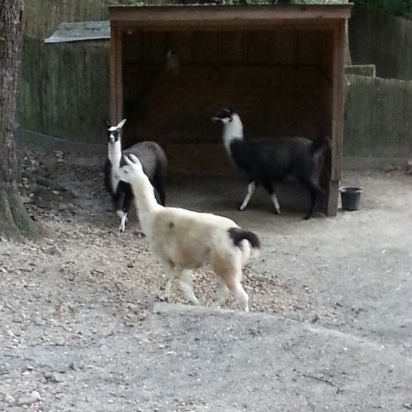 Foto scattata a Brandywine Zoo da Dennecia C. il 8/15/2013